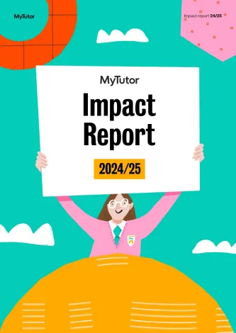 Impact report cover decorative